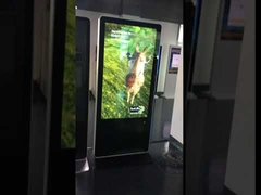 안경 없는 디지털 사이니지